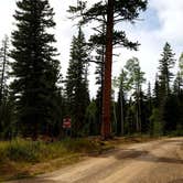 Review photo of DeMotte National Forest Campground by Michael J., July 31, 2018