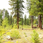 Review photo of DeMotte National Forest Campground by Michael J., July 31, 2018