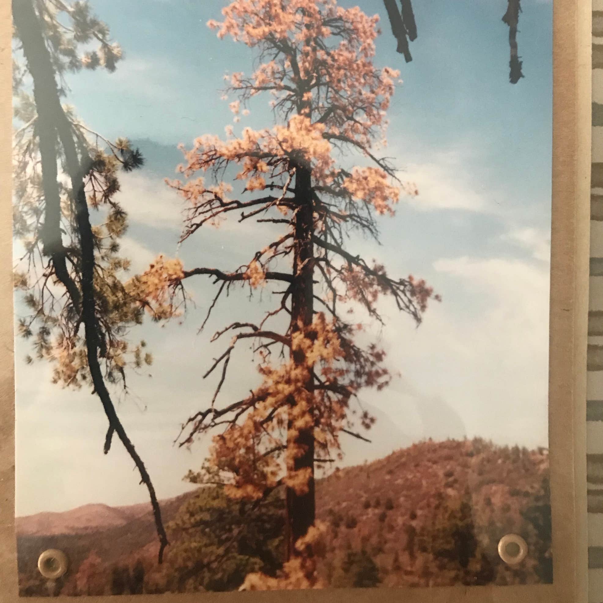 Hanna Flat Campground Camping The Dyrt