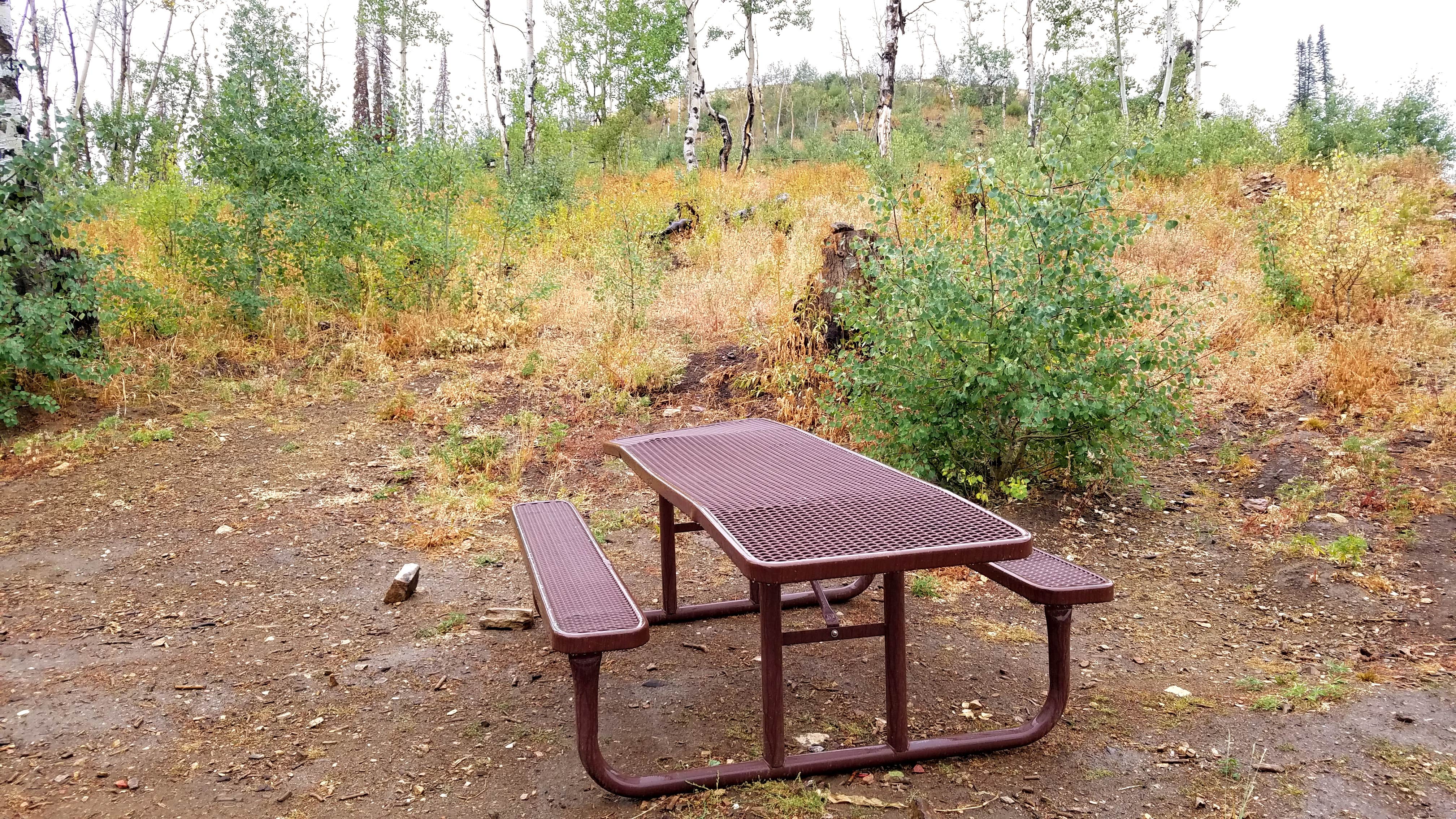 Camper-submitted photo at Bennett Springs near Park Valley, UT