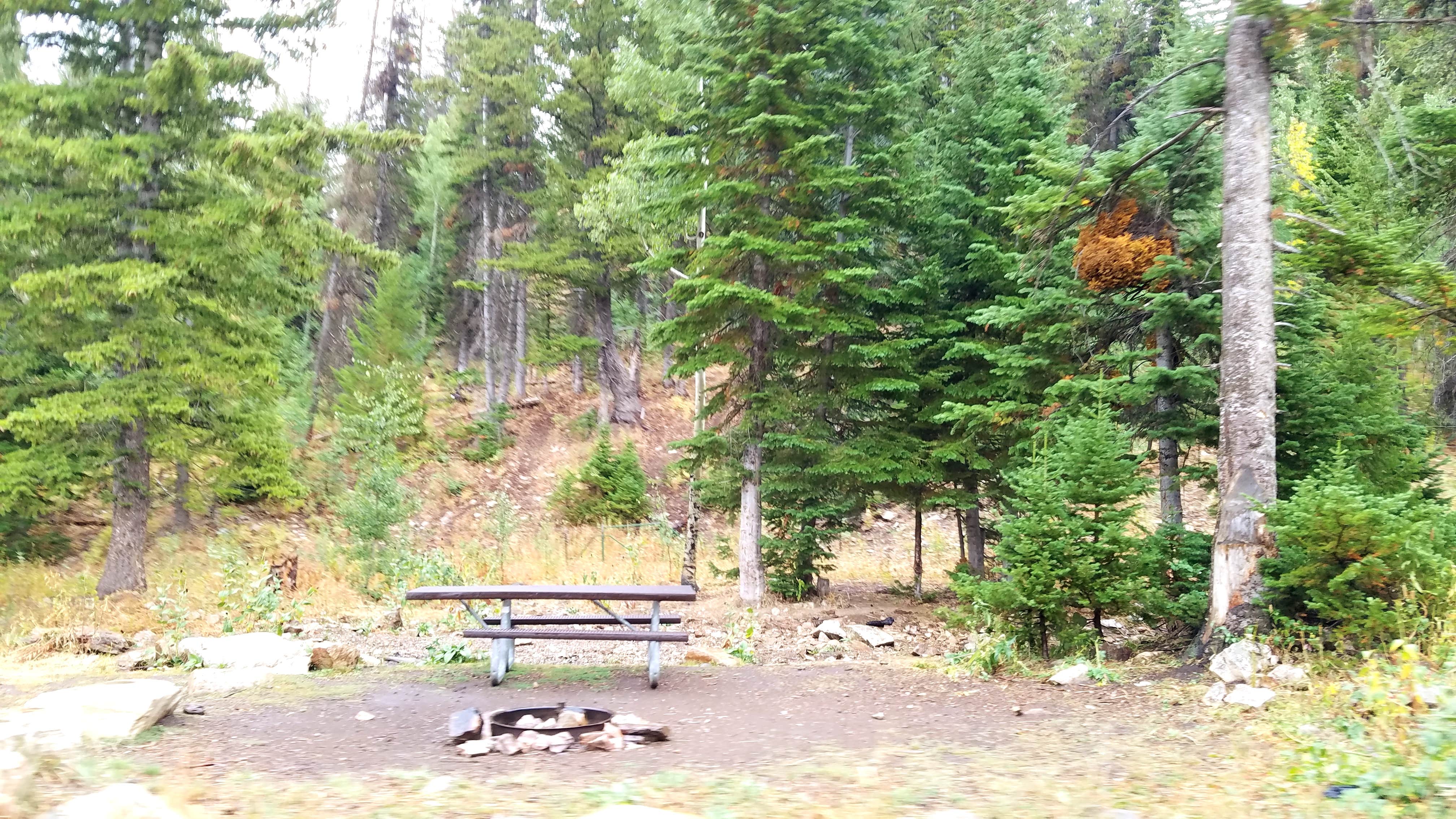 Camper-submitted photo at Bennett Springs near Park Valley, UT