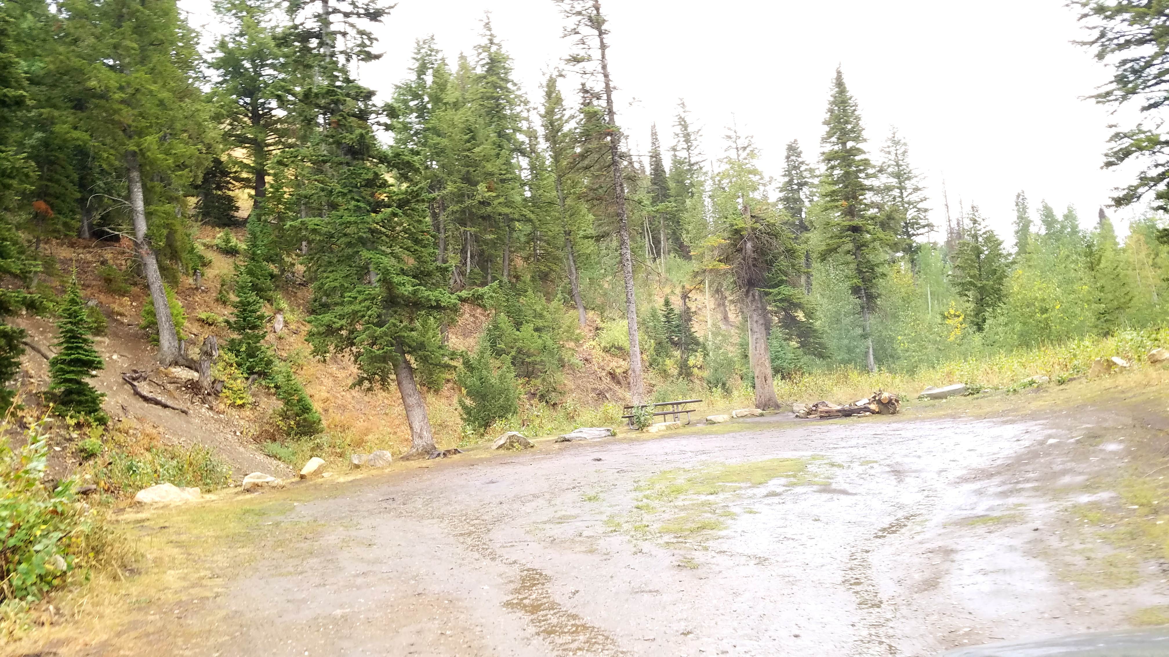 Camper-submitted photo at Bennett Springs near Park Valley, UT