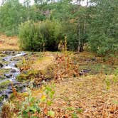 Review photo of Bennett Springs by Michael J., July 31, 2018