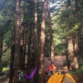 Review photo of Limekiln State Park Campground — TEMPORARILY CLOSED by Jennifer D., July 31, 2018