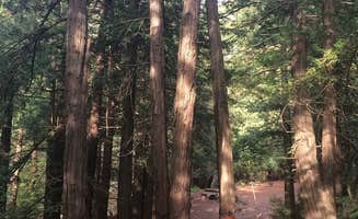 Jennifer D.'s photo of tent camping at Limekiln State Park Campground near Carmel Valley Village, CA