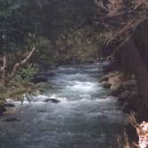 Review photo of Limekiln State Park Campground — TEMPORARILY CLOSED by Jennifer D., July 31, 2018