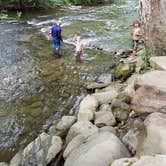 Review photo of Deep Creek Tube Center & Campground by Christy C., July 29, 2016