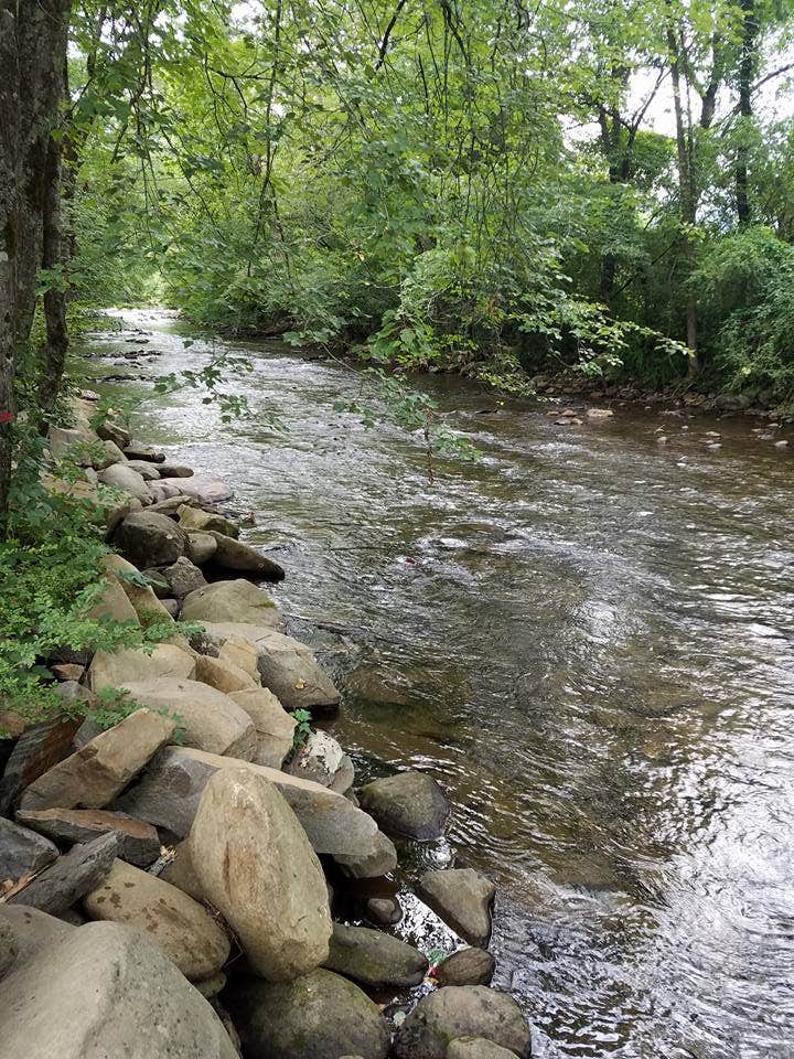 Camper submitted image from Deep Creek Tube Center & Campground - 1