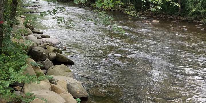 Camper submitted image from Deep Creek Tube Center & Campground