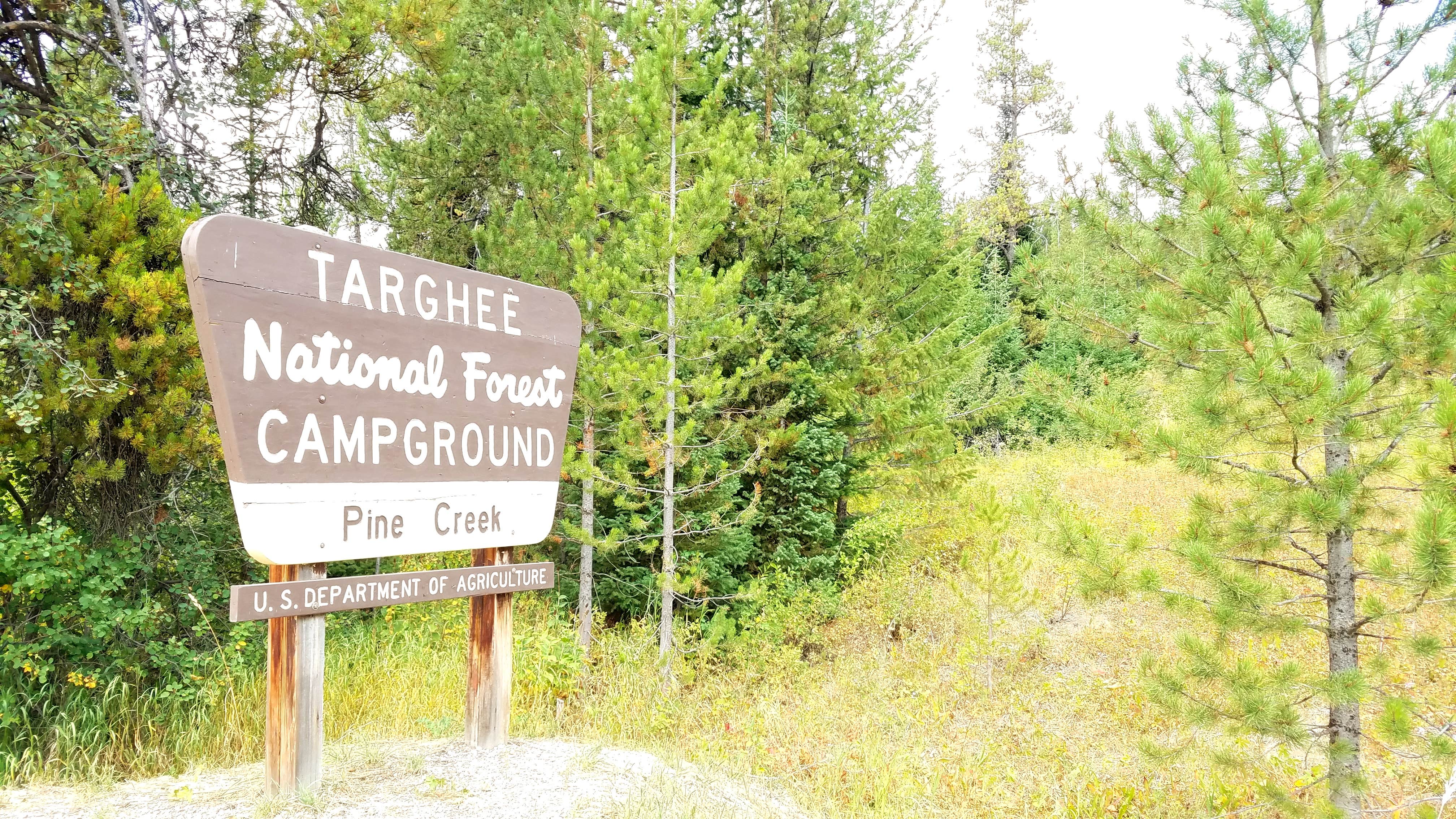 Camper submitted image from Bakers Hole Campground - 5