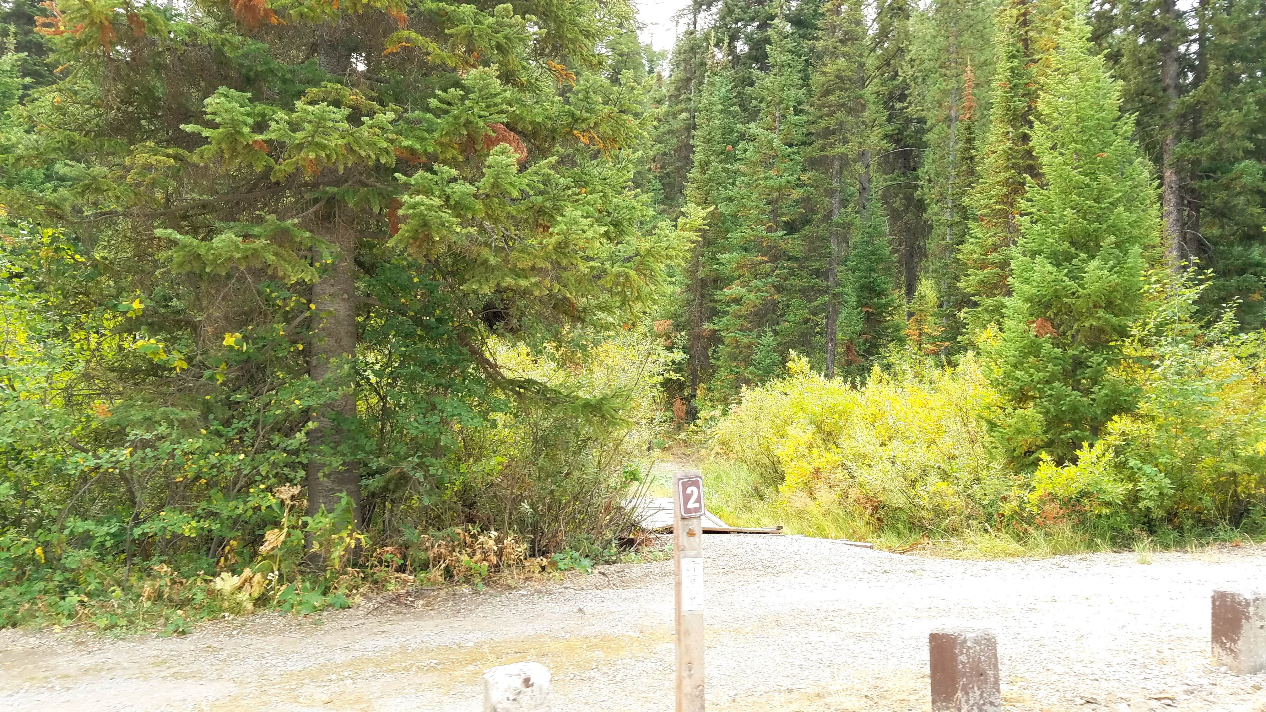 Camper-submitted photo at Bakers Hole Campground near Yellowstone National Park
