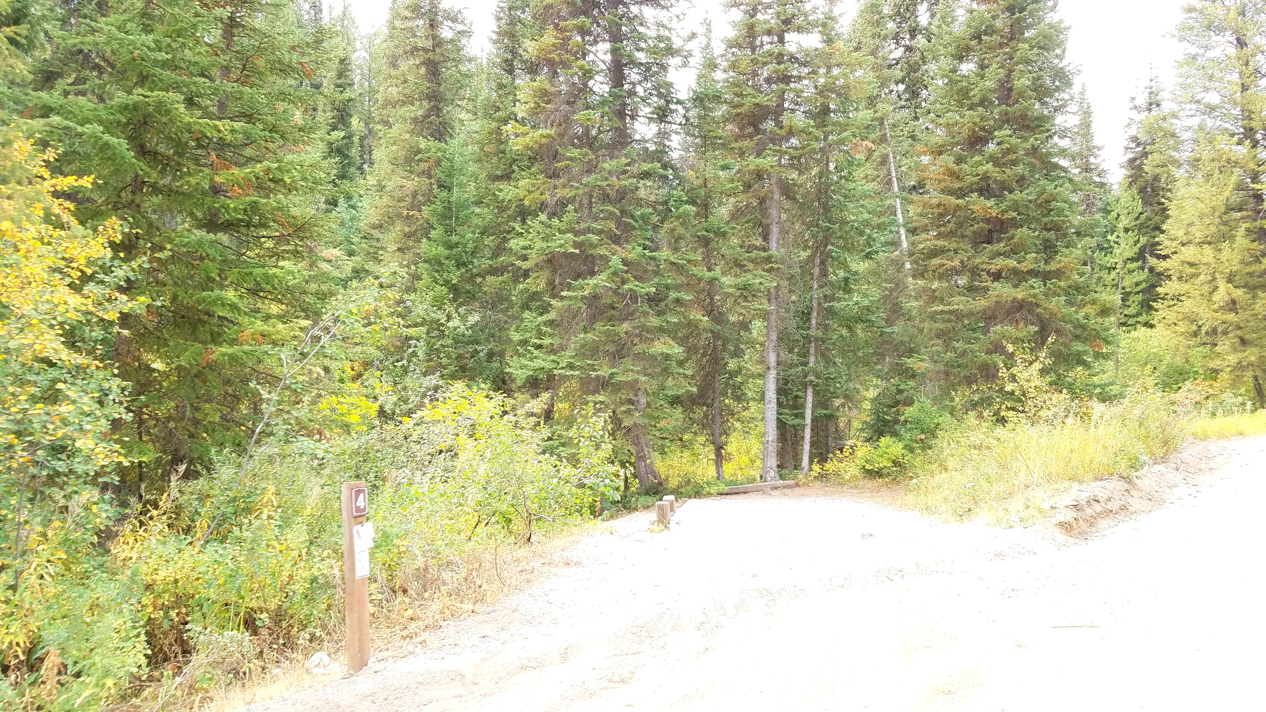 Camper-submitted photo at Bakers Hole Campground near Yellowstone National Park