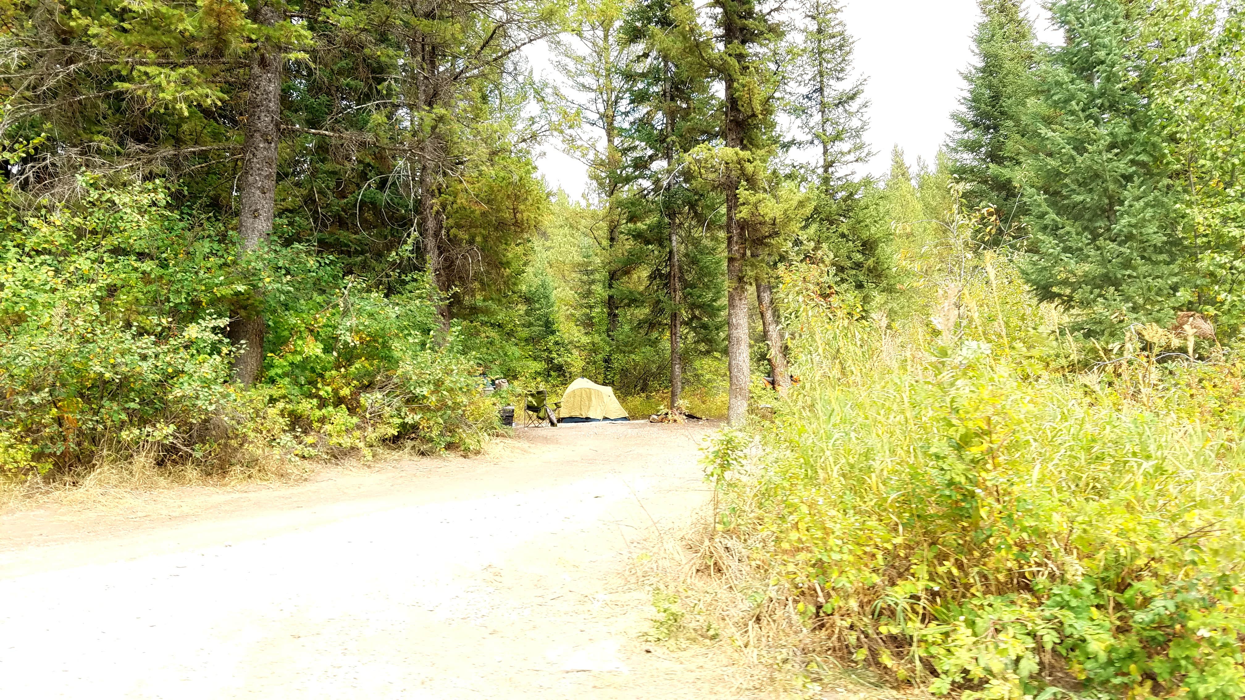 Camper-submitted photo at Bakers Hole Campground near Macks Inn, ID
