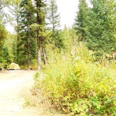 Review photo of Bakers Hole Campground by Michael J., July 31, 2018