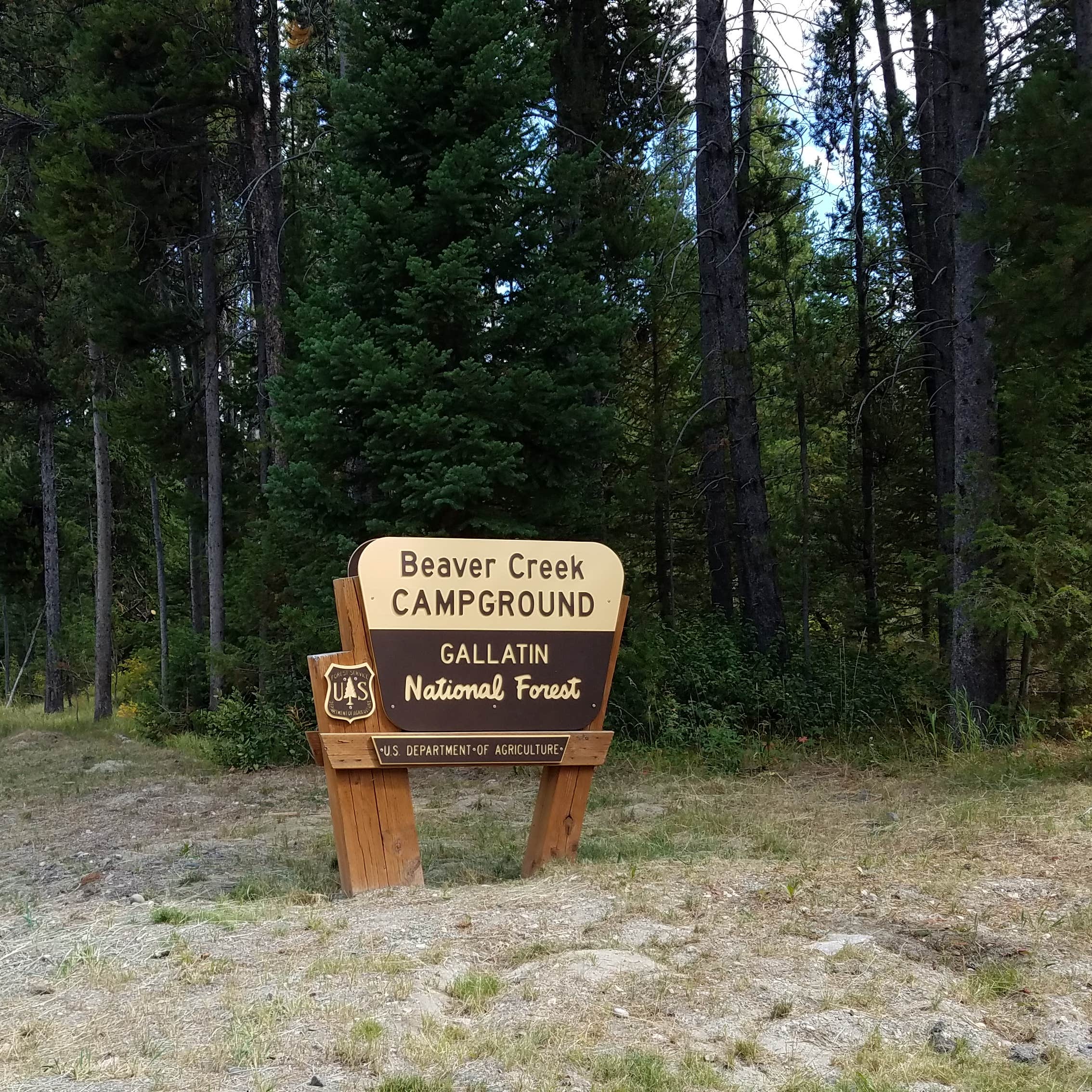 Beaver Creek Camping The Dyrt