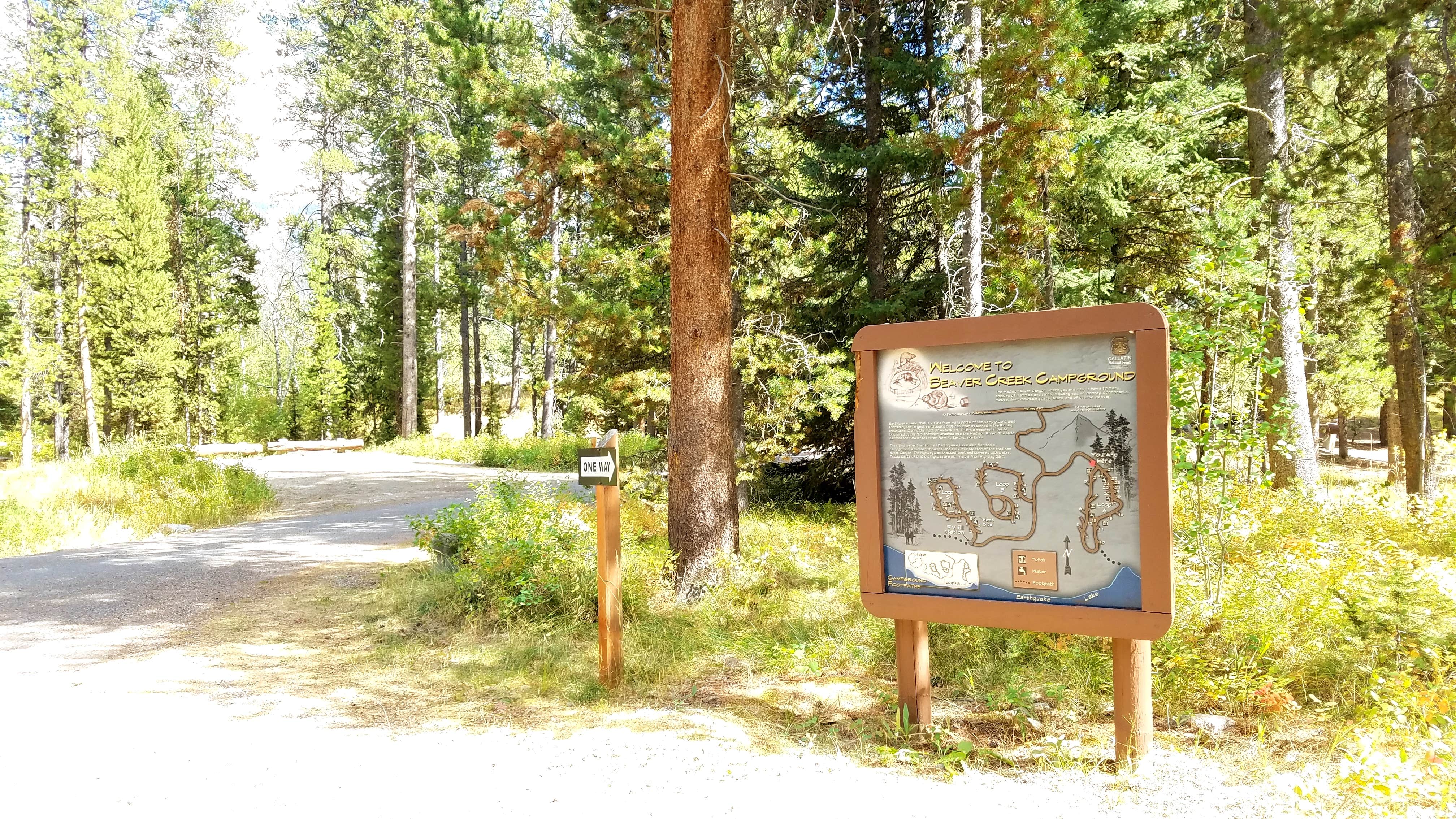 Camper-submitted photo at Beaver Creek near Heart Butte, MT
