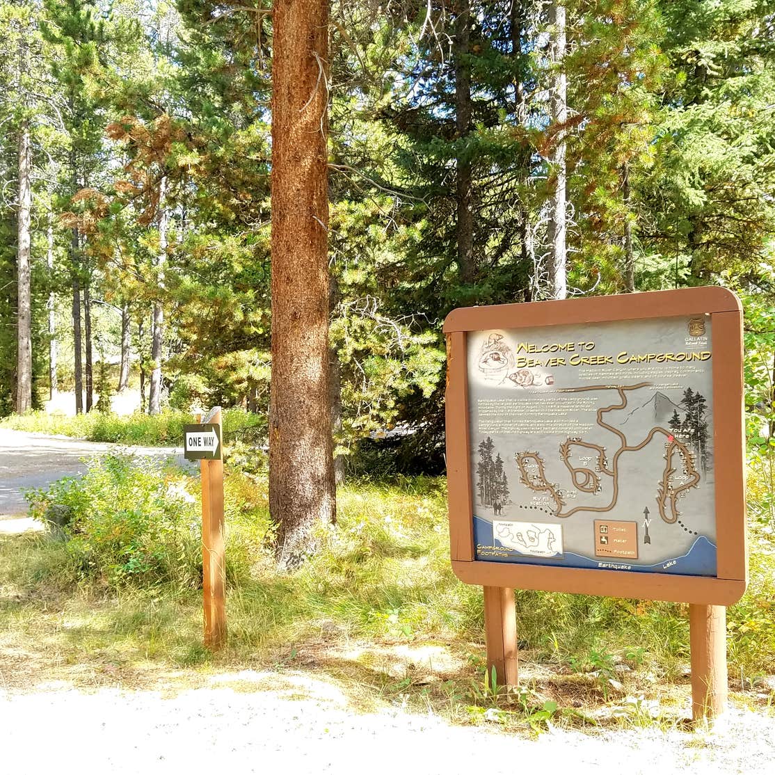 Beaver Creek Camping The Dyrt