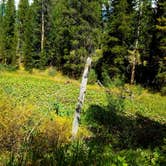 Review photo of Beaver Creek by Michael J., July 31, 2018