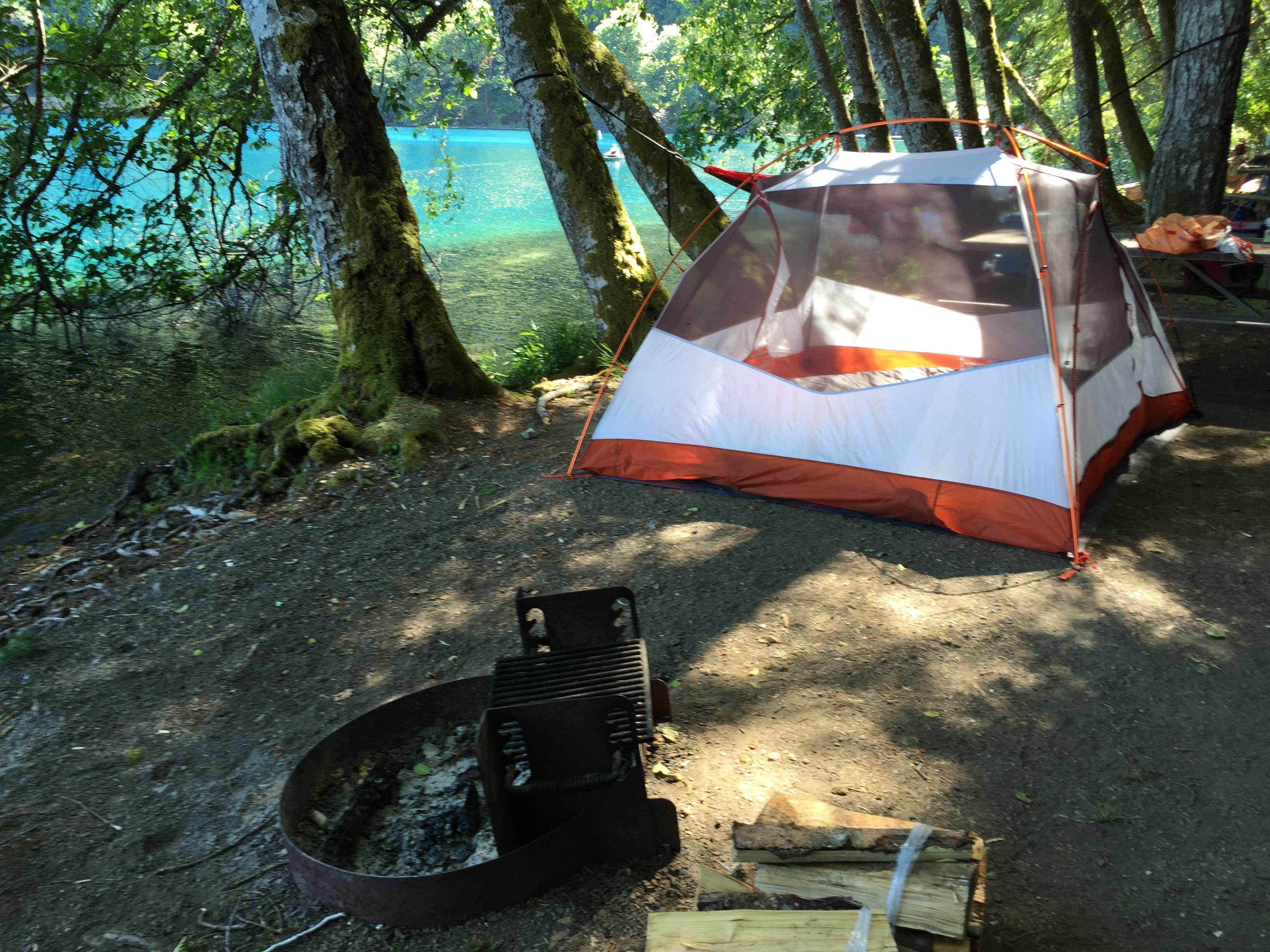 Camper submitted image from Fairholme Campground — Olympic National Park - 2
