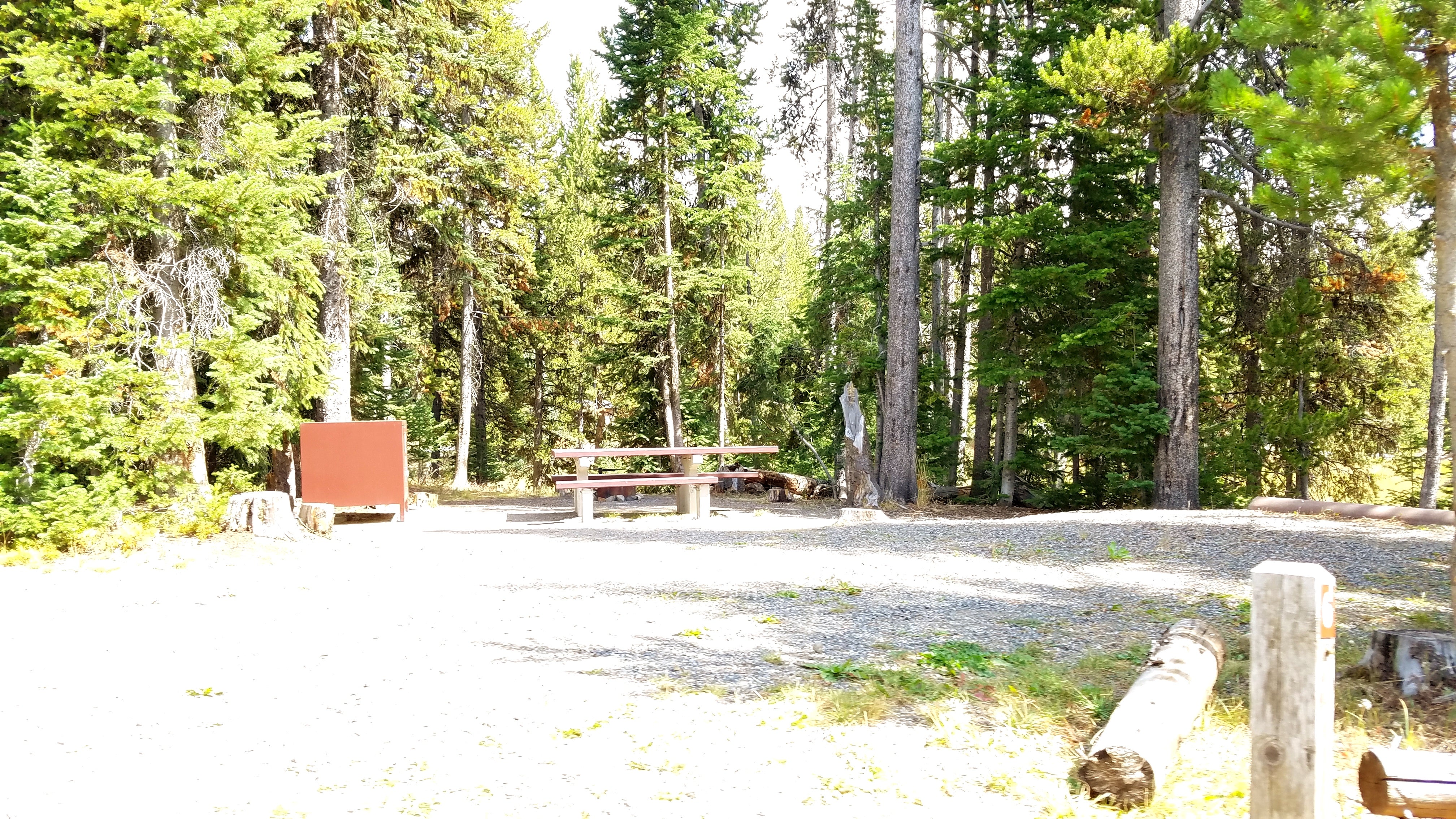 Camper submitted image from Colter Campground - 1