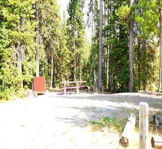 Camper-submitted photo from Colter Campground