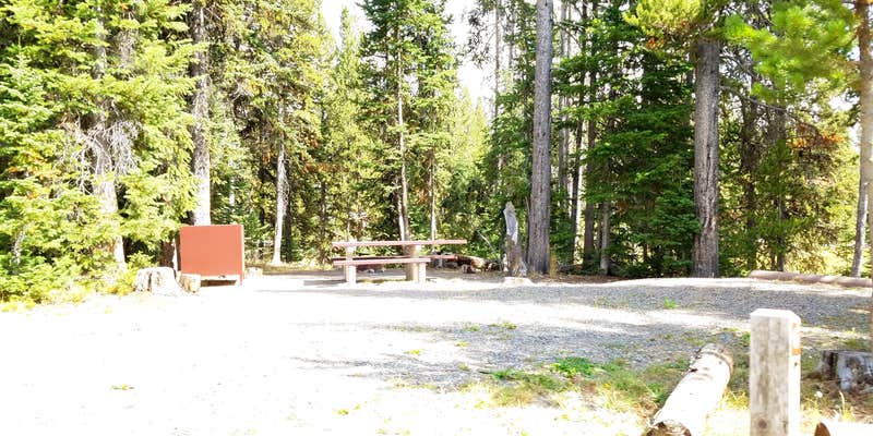 Camper submitted image from Colter Campground