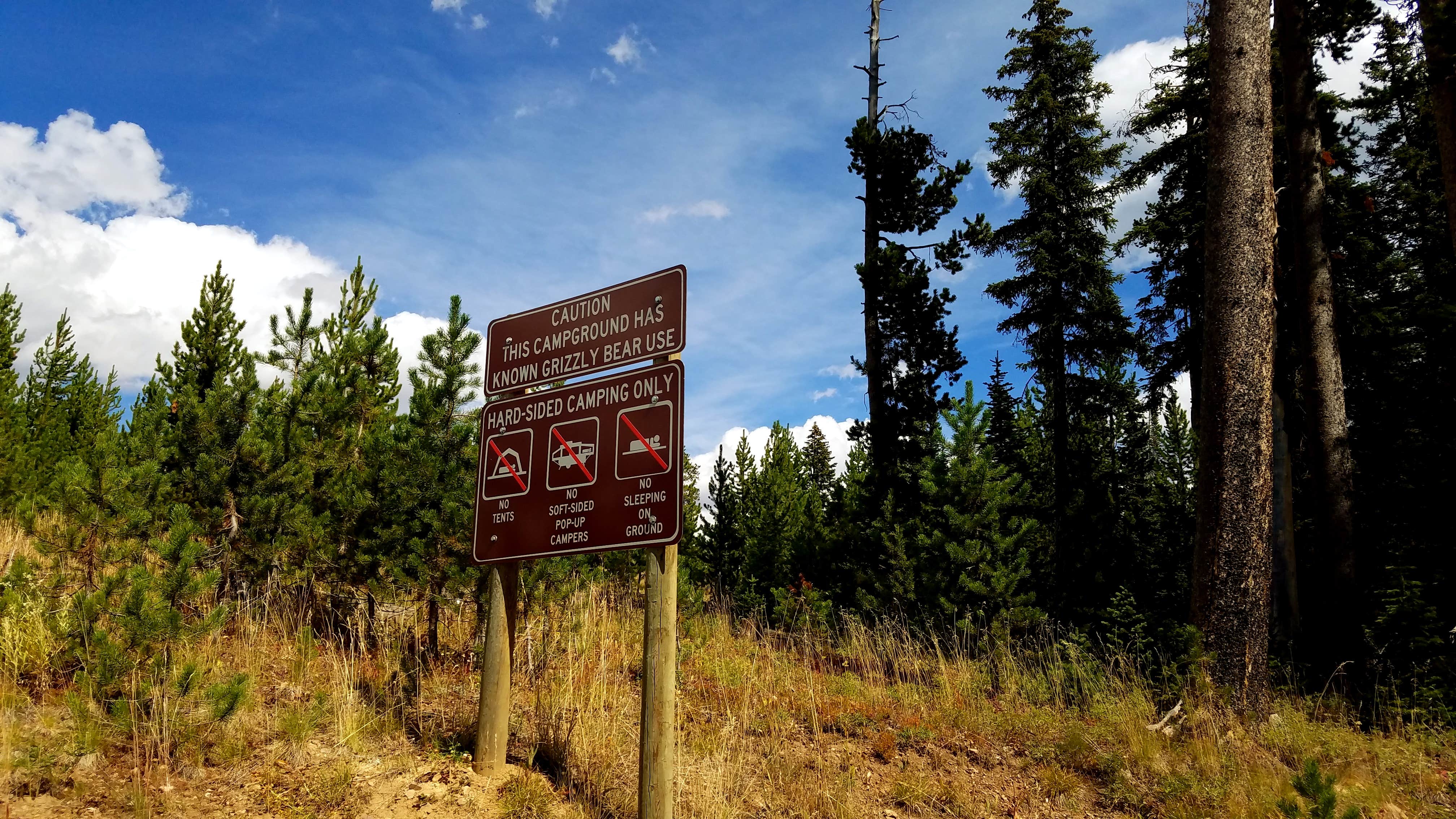 Camper-submitted photo at Colter Campground near Cooke City, MT