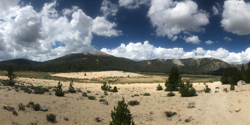 Camper submitted image from Cottonwood Pass Walk in Campground