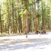 Review photo of Rainbow Point Campground by Michael J., July 31, 2018