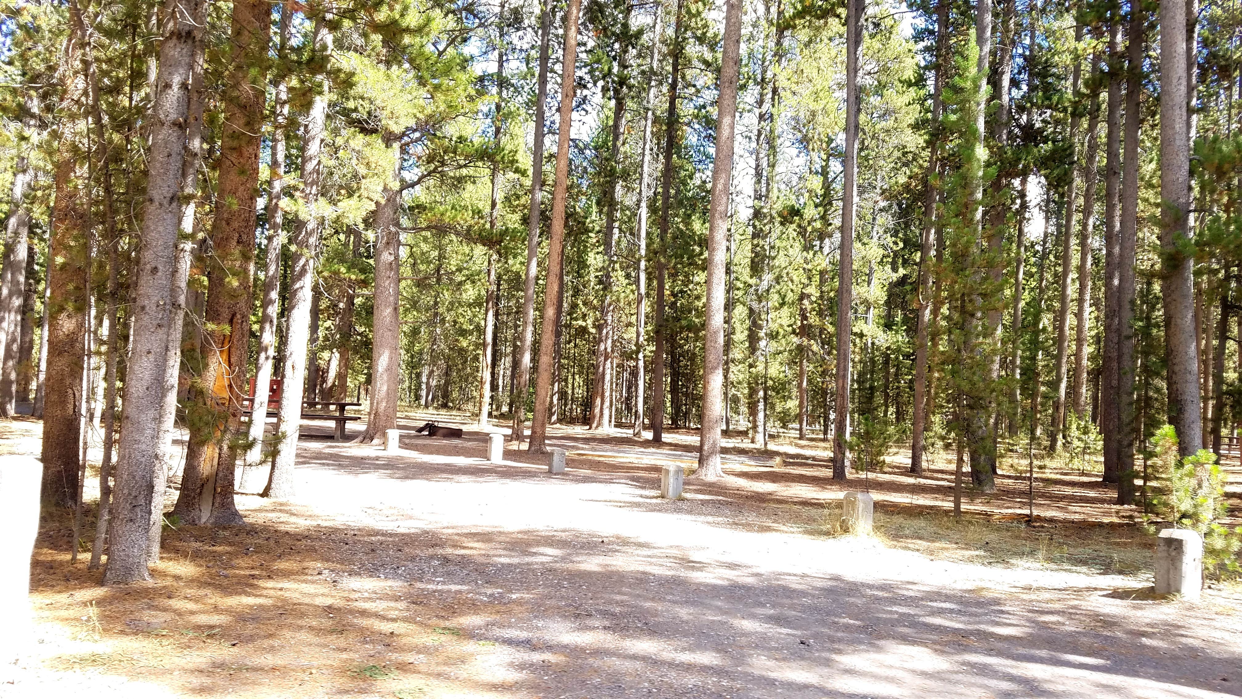 Camper-submitted photo at Rainbow Point Campground near Custer Gallatin National Forest