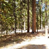 Review photo of Rainbow Point Campground by Michael J., July 31, 2018