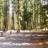 Review photo of Rainbow Point Campground by Michael J., July 31, 2018