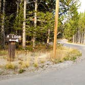 Review photo of Fern Lake — Yellowstone National Park by Michael J., July 31, 2018