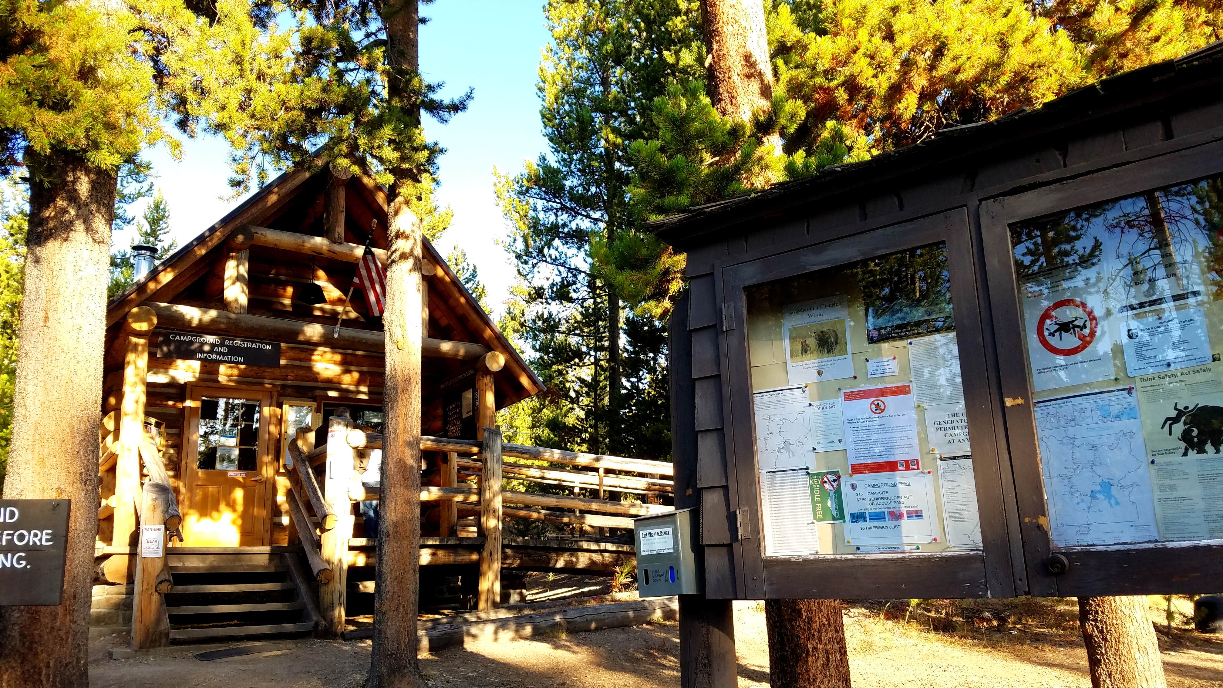 Camper submitted image from Indian Creek Campground — Yellowstone National Park - 5