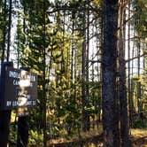 Review photo of Indian Creek Campground — Yellowstone National Park by Michael J., July 31, 2018