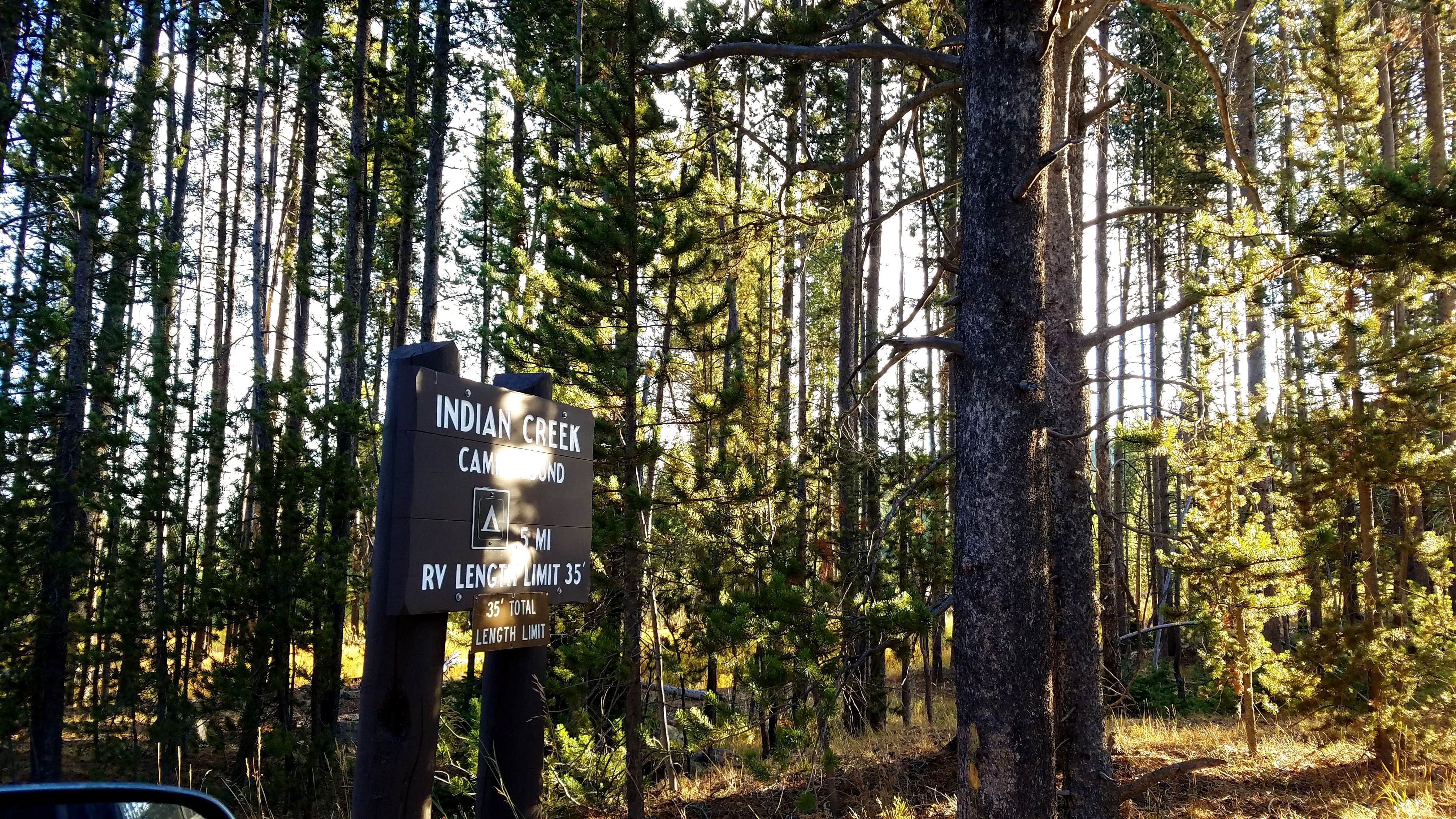 Camper submitted image from Indian Creek Campground — Yellowstone National Park - 5