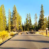 Review photo of Indian Creek Campground — Yellowstone National Park by Michael J., July 31, 2018