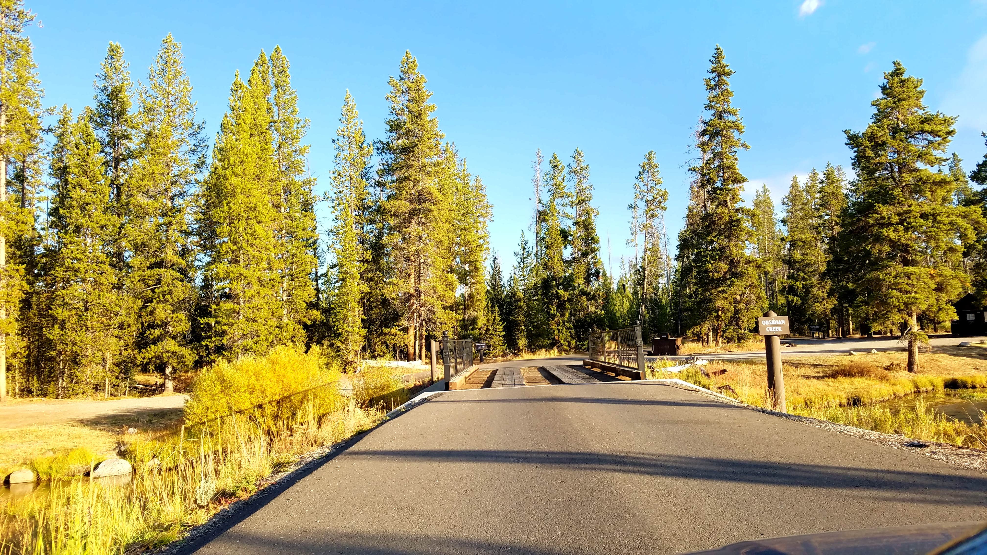 Camper submitted image from Indian Creek Campground — Yellowstone National Park - 3