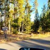 Review photo of Indian Creek Campground — Yellowstone National Park by Michael J., July 31, 2018