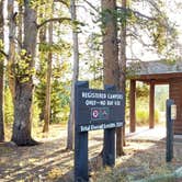 Review photo of Indian Creek Campground — Yellowstone National Park by Michael J., July 31, 2018