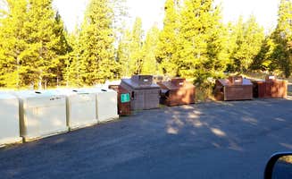 Michael J.'s photo of camping with pets at Indian Creek Campground — Yellowstone National Park near Custer Gallatin National Forest