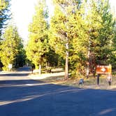 Review photo of Indian Creek Campground — Yellowstone National Park by Michael J., July 31, 2018