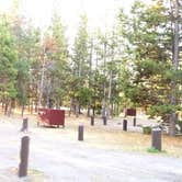 Review photo of Indian Creek Campground — Yellowstone National Park by Michael J., July 31, 2018