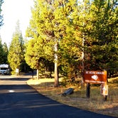 Review photo of Indian Creek Campground — Yellowstone National Park by Michael J., July 31, 2018