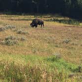 Review photo of Grant Village Campground — Yellowstone National Park by Jason P., July 31, 2018