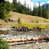 Review photo of Pebble Creek Campground — Yellowstone National Park - CLOSED IN 2024 by Michael J., July 31, 2018