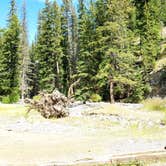 Review photo of Pebble Creek Campground — Yellowstone National Park - CLOSED IN 2024 by Michael J., July 31, 2018