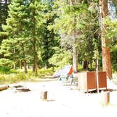 Review photo of Pebble Creek Campground — Yellowstone National Park - CLOSED IN 2024 by Michael J., July 31, 2018