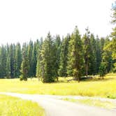 Review photo of Pebble Creek Campground — Yellowstone National Park - CLOSED IN 2024 by Michael J., July 31, 2018