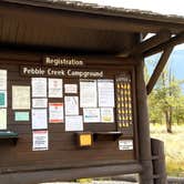 Review photo of Pebble Creek Campground — Yellowstone National Park - CLOSED IN 2024 by Michael J., July 31, 2018